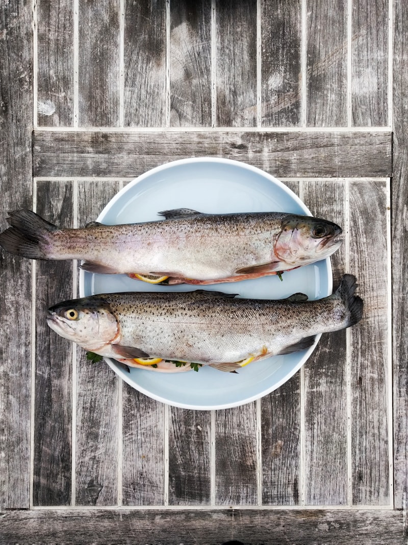 Fresh seafood on ice